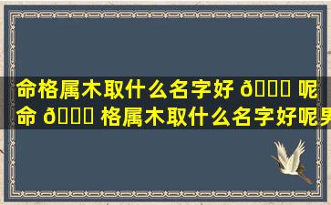 命格属木取什么名字好 🕊 呢「命 🐟 格属木取什么名字好呢男孩」